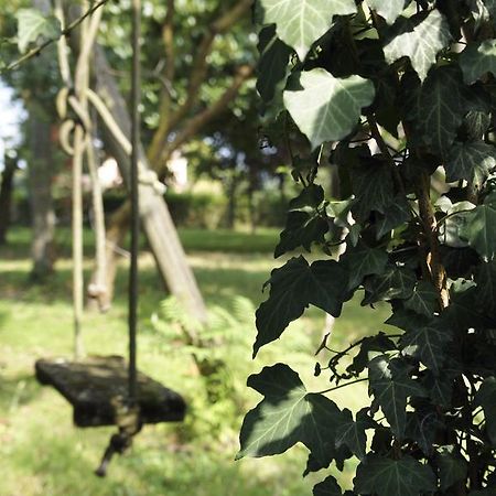 Agriturismo Da Gas San Giorgio In Bosco Bagian luar foto