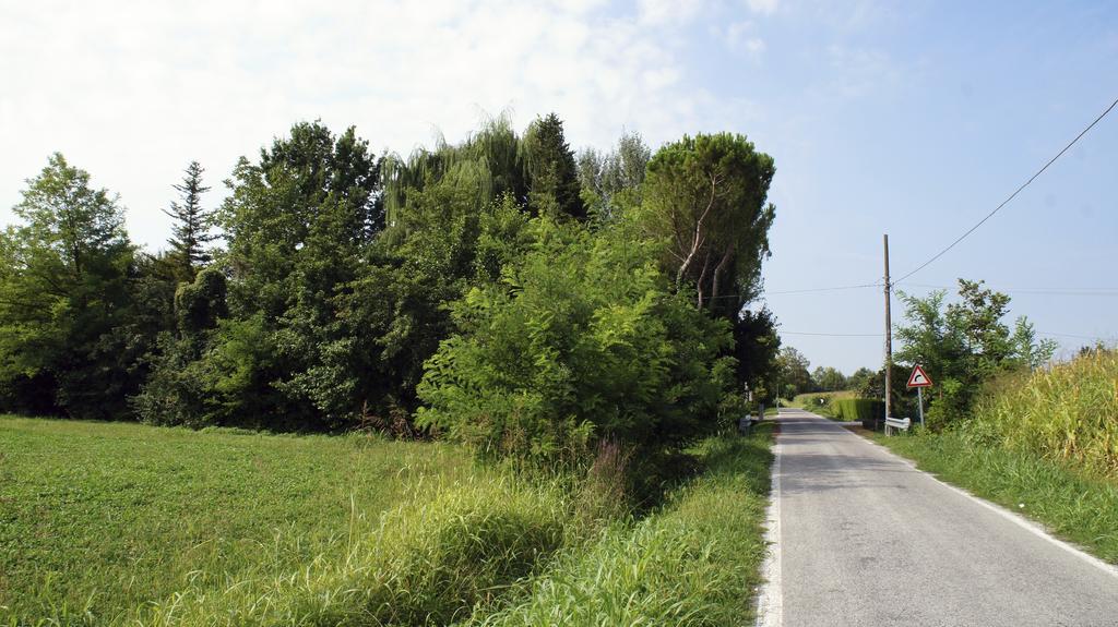 Agriturismo Da Gas San Giorgio In Bosco Bagian luar foto